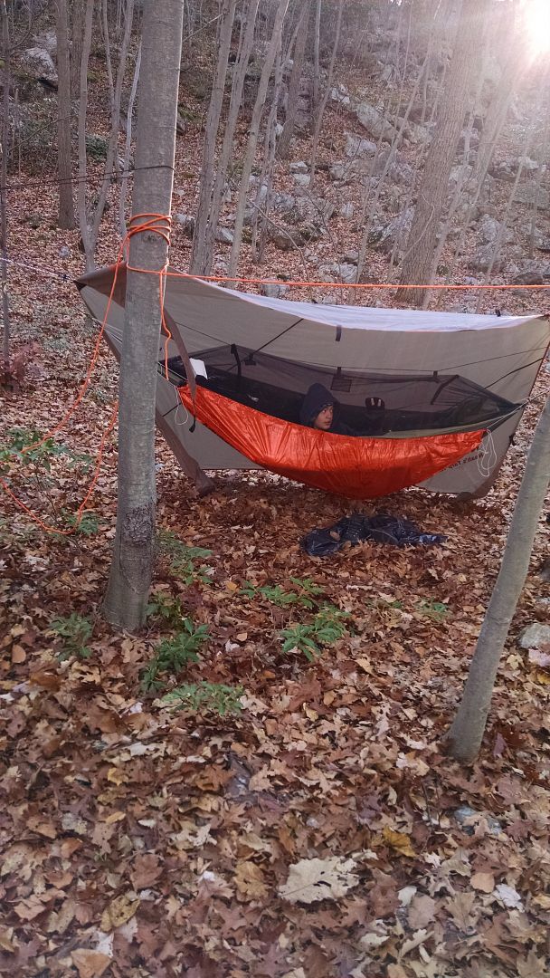 Space blanket underquilt